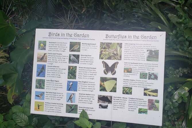 Nature and Sightseeing at Phantasea Tropical Botanical Garden - Key Points
