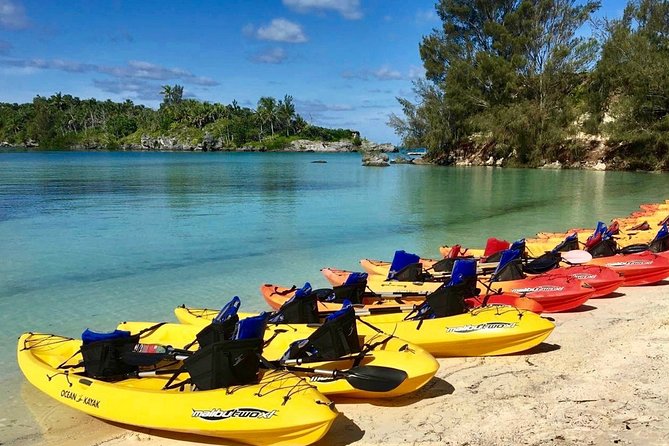 Bermuda Kayak Eco-Tour - A Complete Look at the Bermuda Kayak Eco-Tour