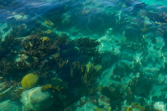 Two Stop Snorkel and Shipwreck from Dockyard - Final Thoughts