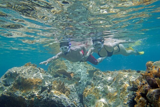 Two Stop Snorkel and Shipwreck from Dockyard - Who Will Love This Tour?