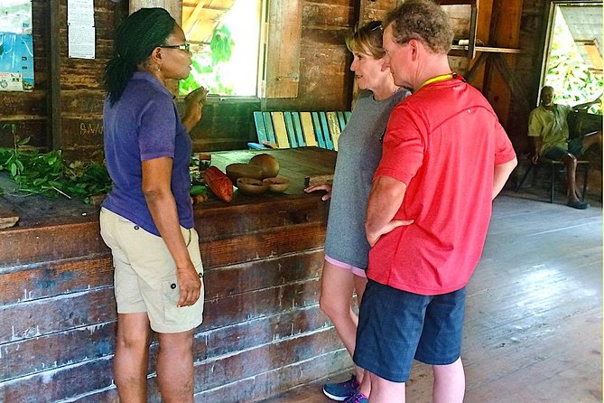 Private 3-Hour Grenada Sightseeing Tour  Grand E'tang Lake - Final Thoughts