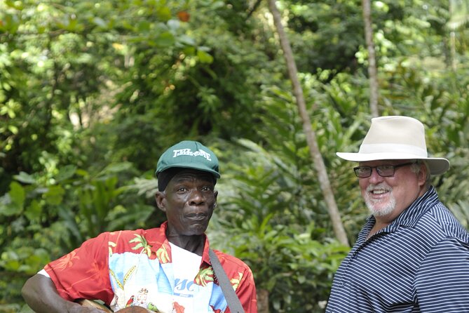 Discover the Magic of Annandale Waterfall & Forest Park - Key Points