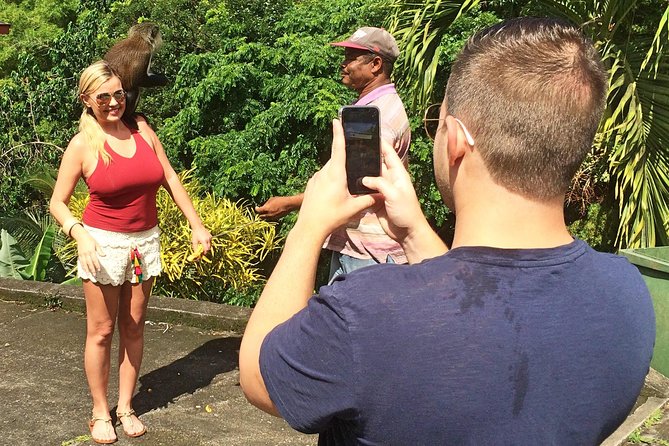 Discover the Magic of Annandale Waterfall & Forest Park - Authenticity and Flexibility