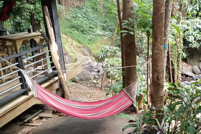 Discover the Magic of Annandale Waterfall & Forest Park - Who Should Consider This Tour?