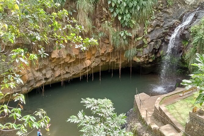 Discover the Magic of Annandale Waterfall & Forest Park - FAQ