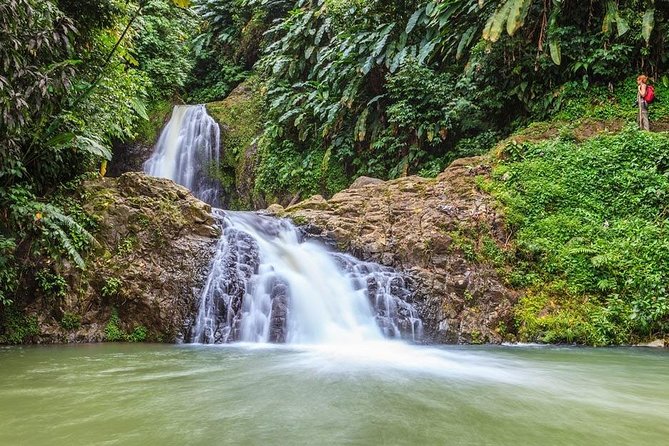 Waterfalls Adventure Hikes in St. George's, Grenada - An In-Depth Look at the Waterfalls Adventure Hikes