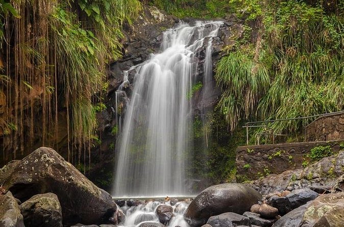 Waterfalls Adventure Hikes in St. George's, Grenada - The Value for Money