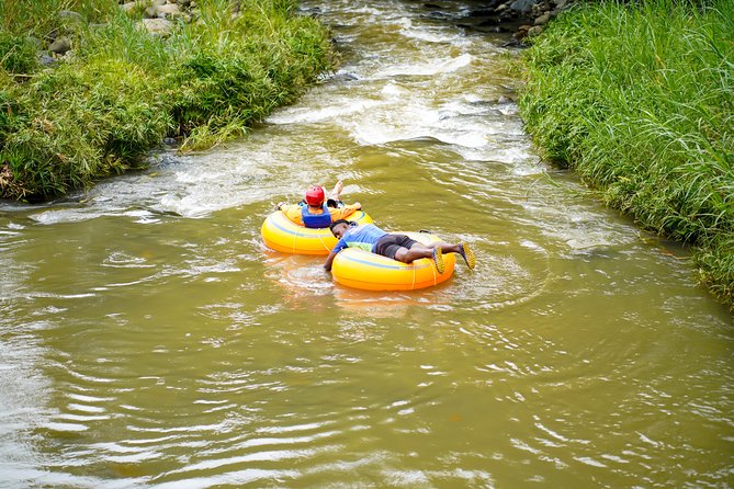 Half-Day Grenada River Tubing -Grand Etang & Annandale Falls - Who Should Consider This Tour?