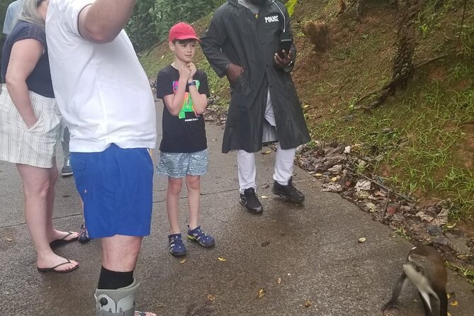 Half Day Tour - Popular Sites in Grenada, Forest Reserve,Spice Market,Waterfalls - Who Would Enjoy This Tour?