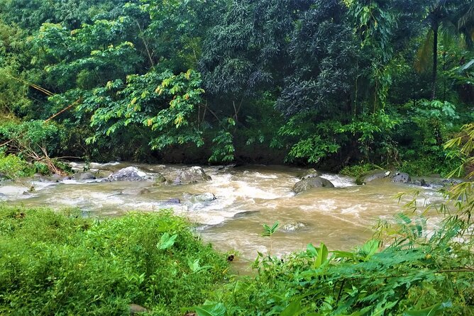 Grenada River Tubing and Annandale Falls Private Tour - What Makes This Tour Stand Out