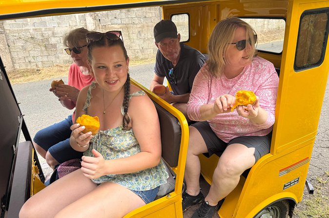 Ryde Tuk Tuk Eco and History Tour in St David Grenada - The Practical Aspects
