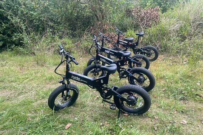 Grenada's Ryde the Vibes E-Bike Experience - Final Thoughts: Is This Tour Right for You?