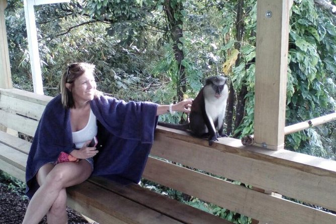 Half-Day Concord Waterfall and Chocolate Factory Tour - Key Points