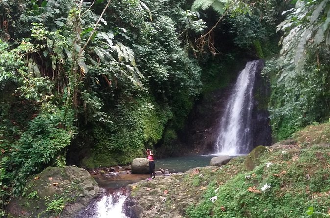 Half Day Grenada Seven Sisters, Grand Etang Nature Center Hiking Tour - FAQs