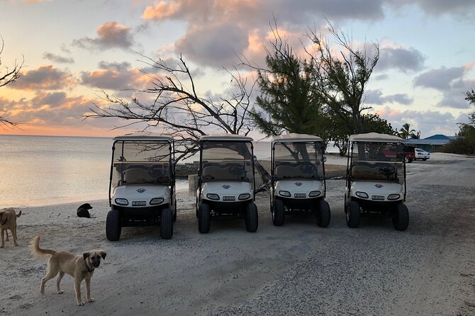 Drive GDT - Golf Cart Rentals - The Sum Up