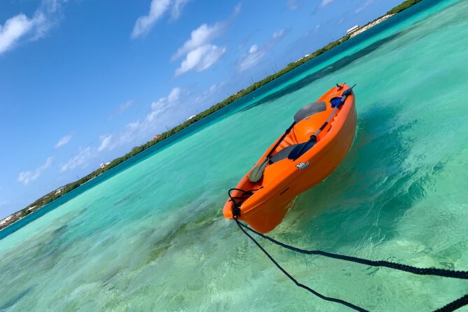 Clear kayak Grand Turk Island Kayak Tour of the mangroves - An In-Depth Look at the Clear Kayak Grand Turk Island Tour