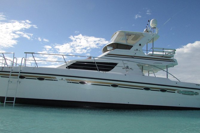 Turks and Caicos Full-Day Luxury Private Yacht Charter - A Deep Dive Into the Turks and Caicos Private Yacht Experience