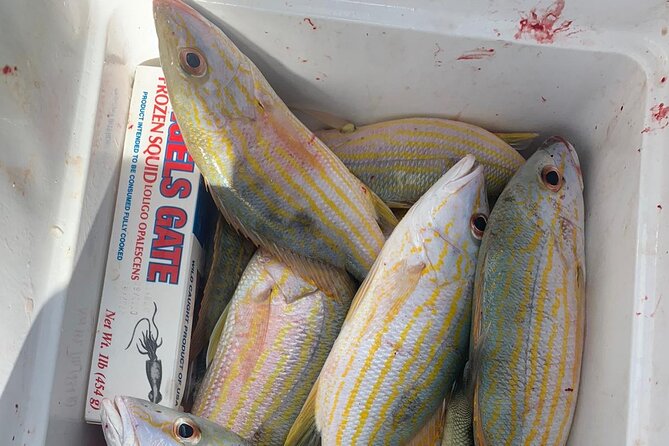 8HR Catch and Grill in Turks and Caicos Islands - Who Should Consider This Tour?