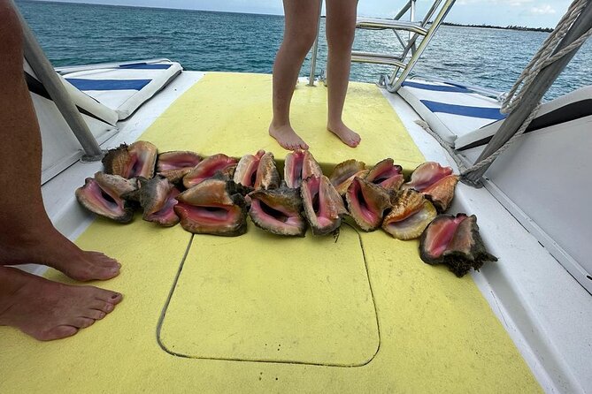 6HR-Provo Cays exploration with Lunch in Gracebay - Authentic Reviews and What They Tell Us