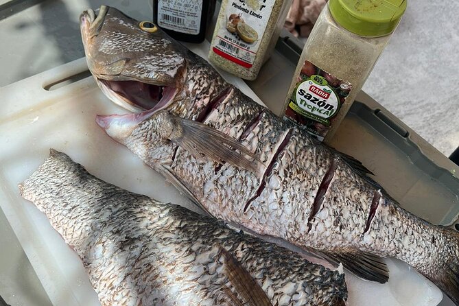 4HR-Halfday Private Fishing Tour in Gracebay - FAQ