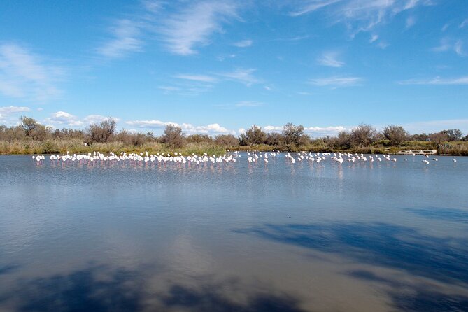 Private Tour North and Middle Turks and Caicos Islands - Starting Point: Hotel Pickup and Comfort Transportation
