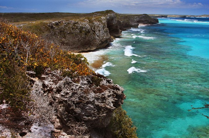 Private Tour North and Middle Turks and Caicos Islands - Authentic Insights from Travelers