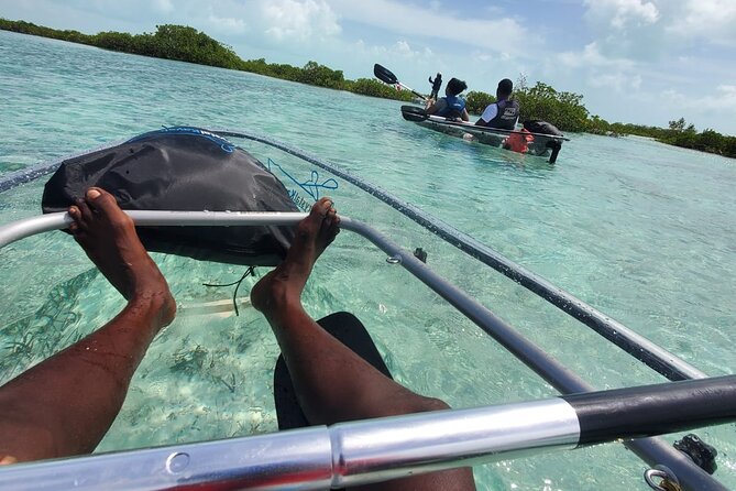 Clear Kayak Mangrove Eco Tour - Who Should Consider This Tour?