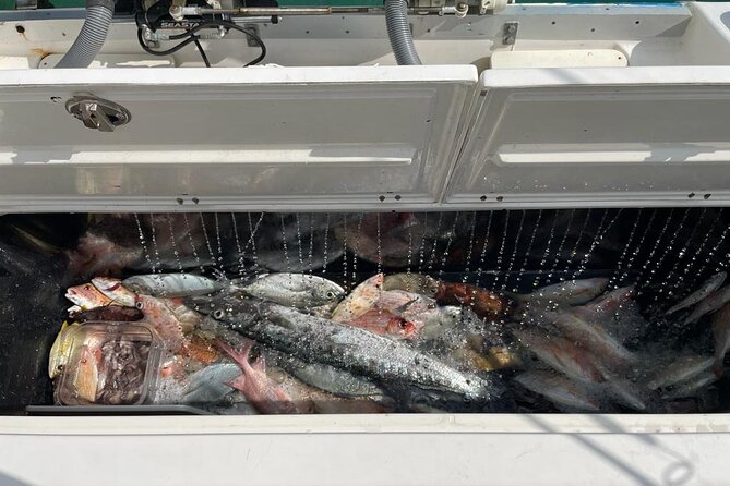 Half Day Bottom Fishing Private Charter - In-Depth Review of the Half Day Bottom Fishing Private Charter