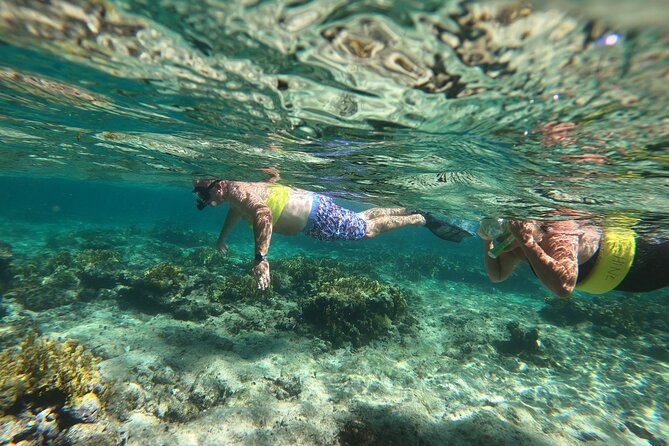 Full Day Private Boat Snorkeling, Sightseeing and Beach BBQ - A Detailed Look at the Experience