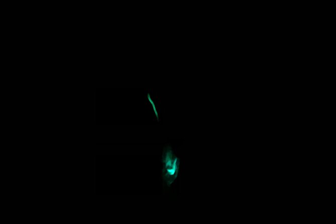 3 hour Glow Worm Sunset Cruise from Providenciales - A Detailed Look at the Glow Worm Sunset Cruise