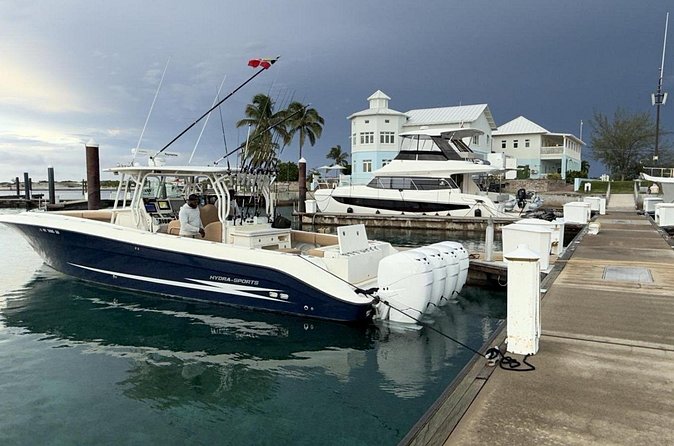 Private Half Day Afternoon Deep Sea Fishing on Reel Buoys - Key Points