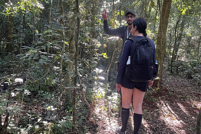 Explore Trails in the Atlantic Forest at the Brazilian Falls - Who Should Consider This Tour?