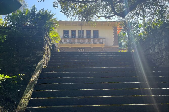 Explore Trails in the Atlantic Forest at the Brazilian Falls - The Experience: What Youll Feel and See