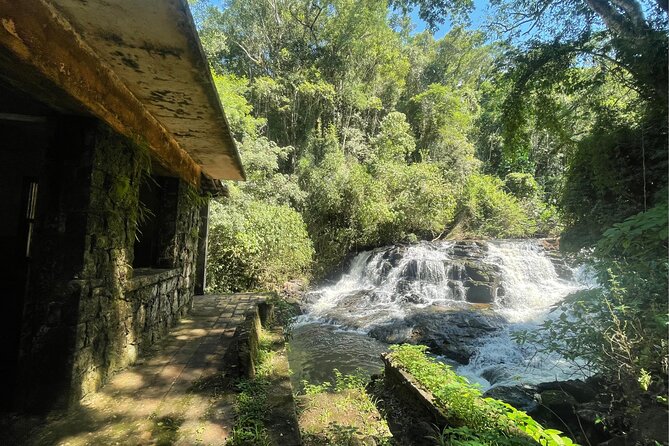 Explore Trails in the Atlantic Forest at the Brazilian Falls - Key Points