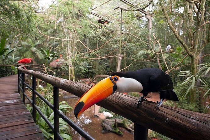 Iguassu Falls Private Tours - Final Recommendations