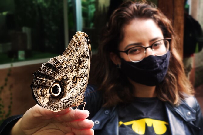 Bird Park General Admission Ticket and Tour - Key Points