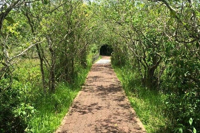 2 Days Private Tour Argentinean & Brazilian Side of Iguazu Falls - Wrapping It Up