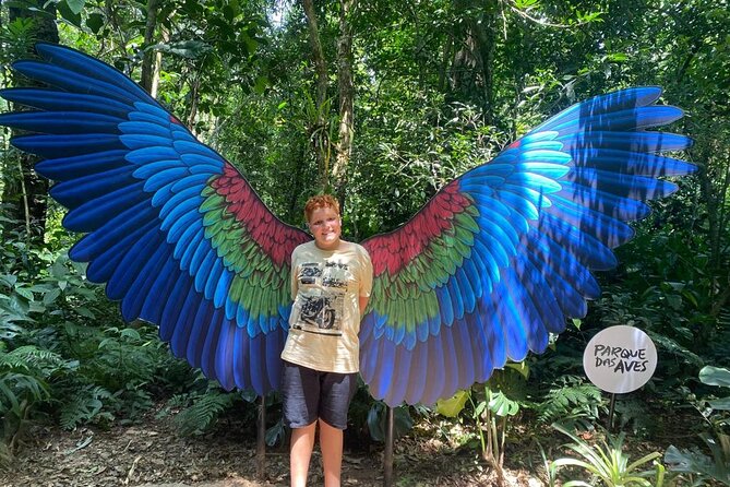 Tour 1 day: Brazilian Falls, Macuco Safari and Bird Park - Key Points