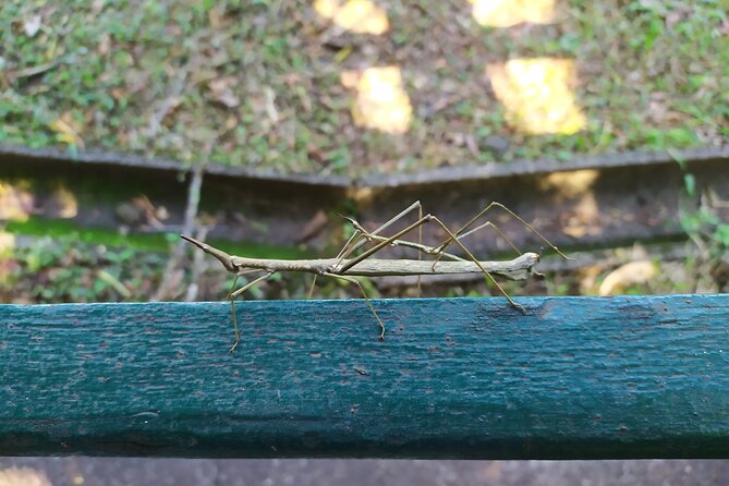 Iguazu Falls Adventure: Discover Two Countries in One Day - Exploring Iguazu Falls in Detail