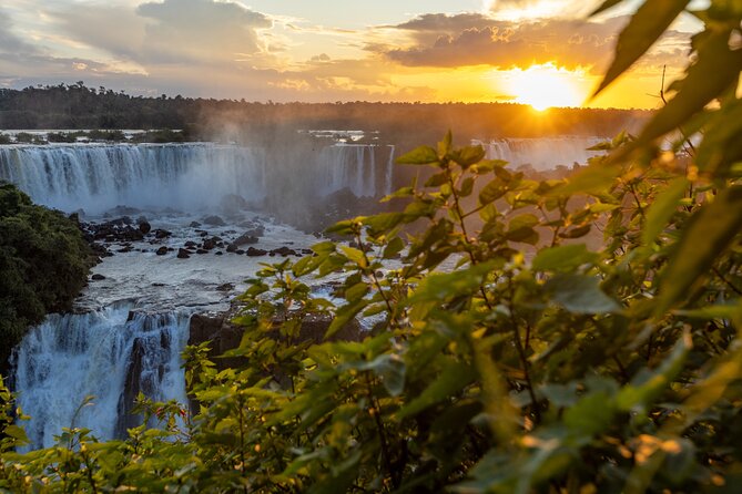 Itaipu Dam & Bird Park & Iguassu Falls Brazilian Side - Private Tour - Key Points