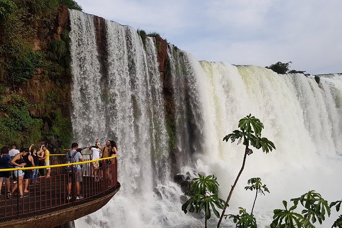Tour to Iguazu Falls Brazil with visit at the Bird Park - Practical Details and What to Expect