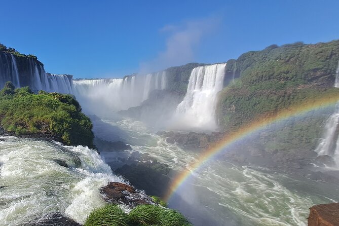 Tour to Iguazu Falls Brazil with visit at the Bird Park - Authentic Encounters and Guide Expertise