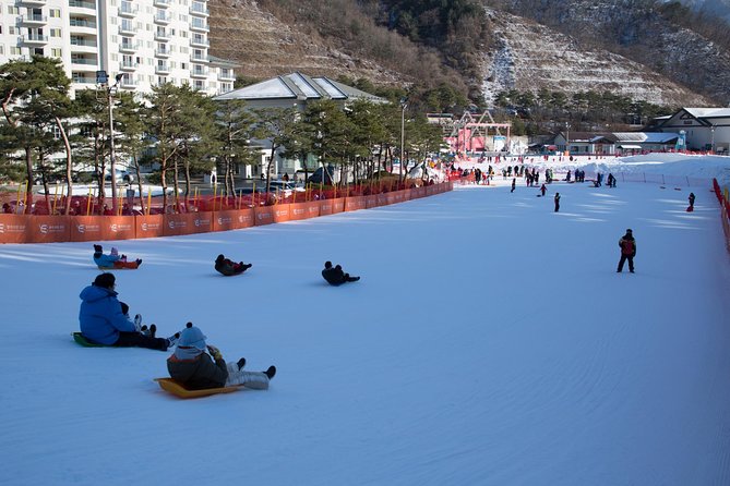 [Private Tour] Nami Island & Snow Viewing and Snow sled (More Members Less Cost) - Nami Island: A Winter Wonderland