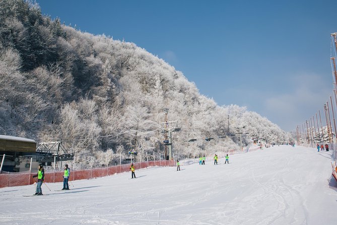 [Private Tour] Nami Island & Snow Viewing and Snow sled (More Members Less Cost) - Snow Fun at Elysian Condo Gangchon