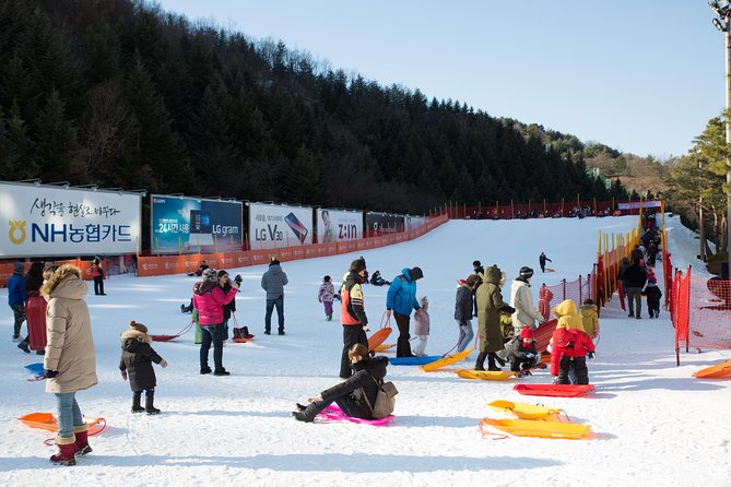 [Private Tour] Nami Island & Snow Viewing and Snow sled (More Members Less Cost) - The Comforts and Practicalities