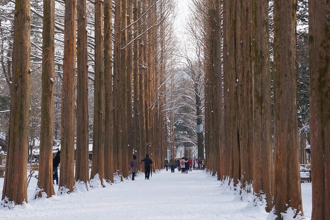 [Private Tour] Nami Island & Snow Viewing and Snow sled (More Members Less Cost) - Authentic Experiences and Cultural Insights