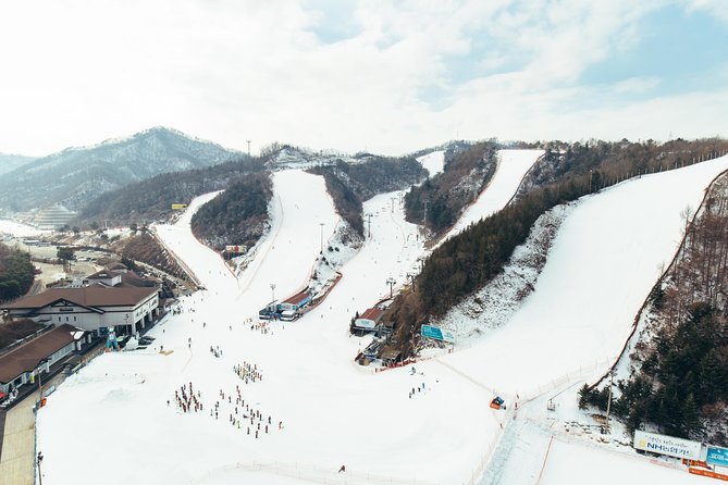 [Private Tour] Nami Island & Snow Viewing and Snow sled (More Members Less Cost) - Final Thoughts