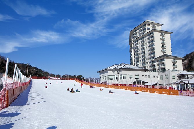 [Private Tour] Nami Island & Snow Viewing and Snow sled (More Members Less Cost) - FAQ about the Nami Island & Snow Sled Private Tour