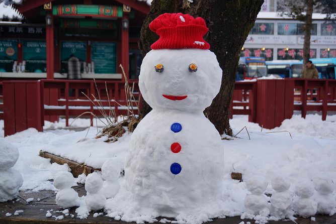 [Private Tour] Nami Island & Ski (Ski Lesson, Equip & Clothing Included) - Key Points