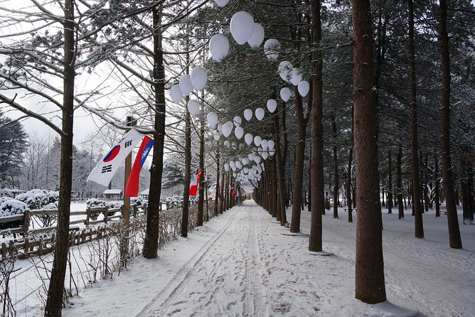 [Private Tour] Nami Island & Ski (Ski Lesson, Equip & Clothing Included) - Analyzing the Value